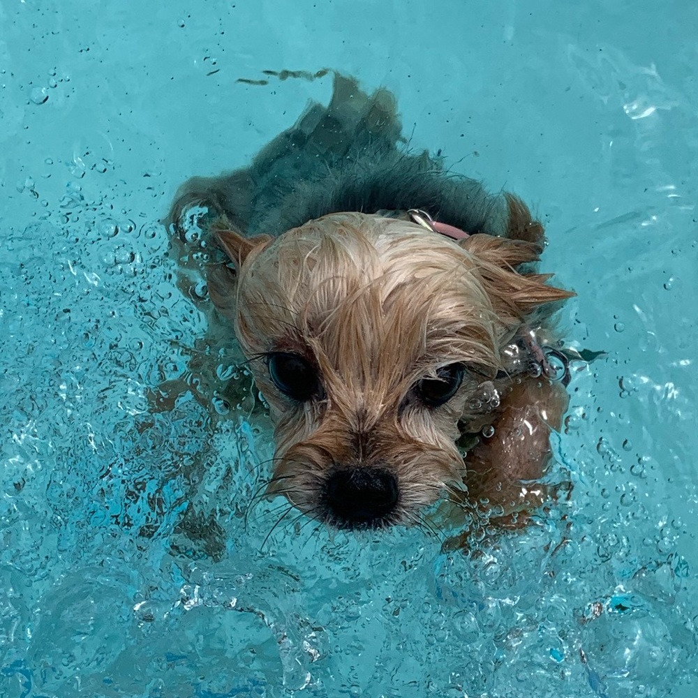 Meet your Posher, Lydia